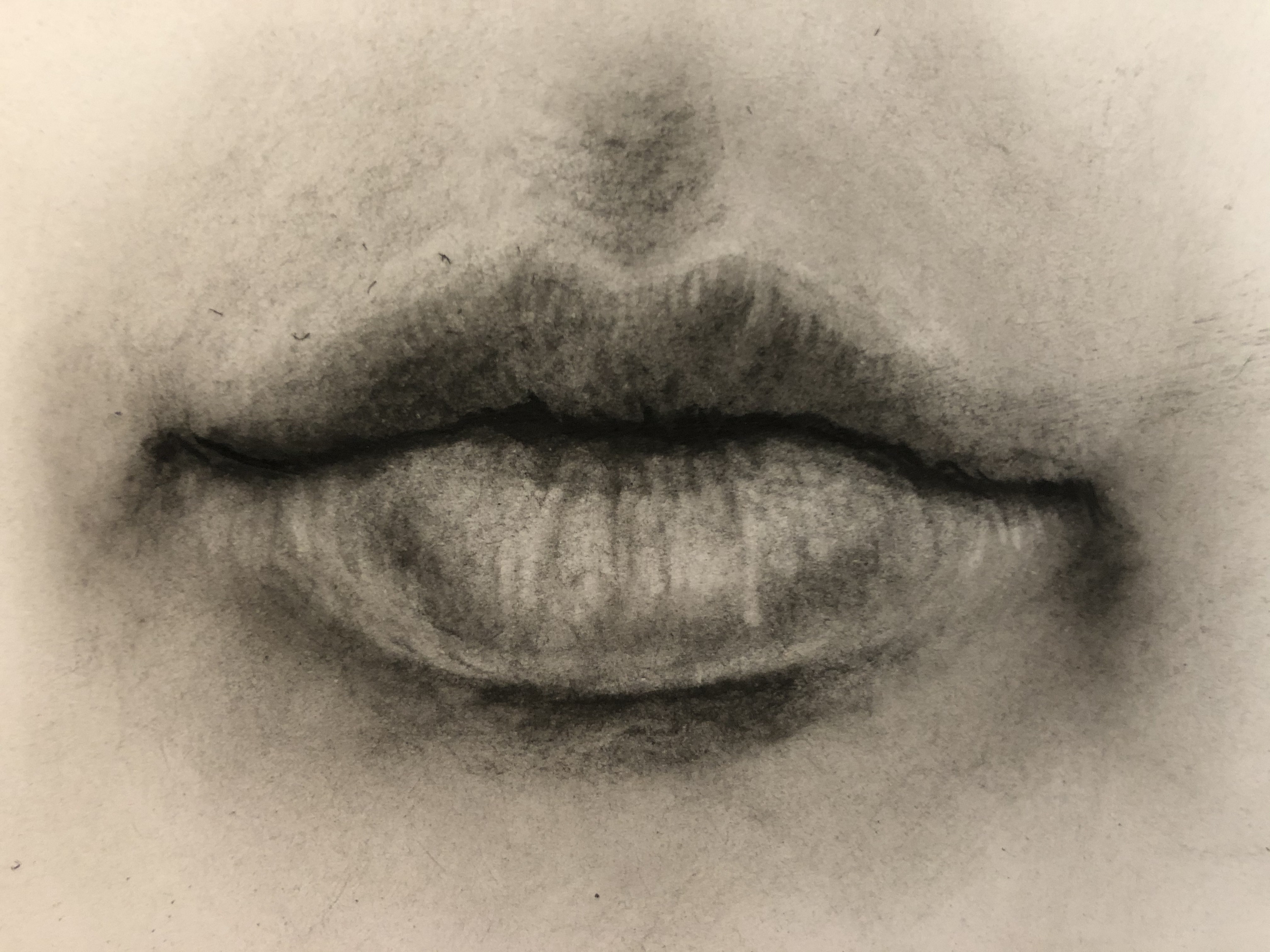 Lips Study
